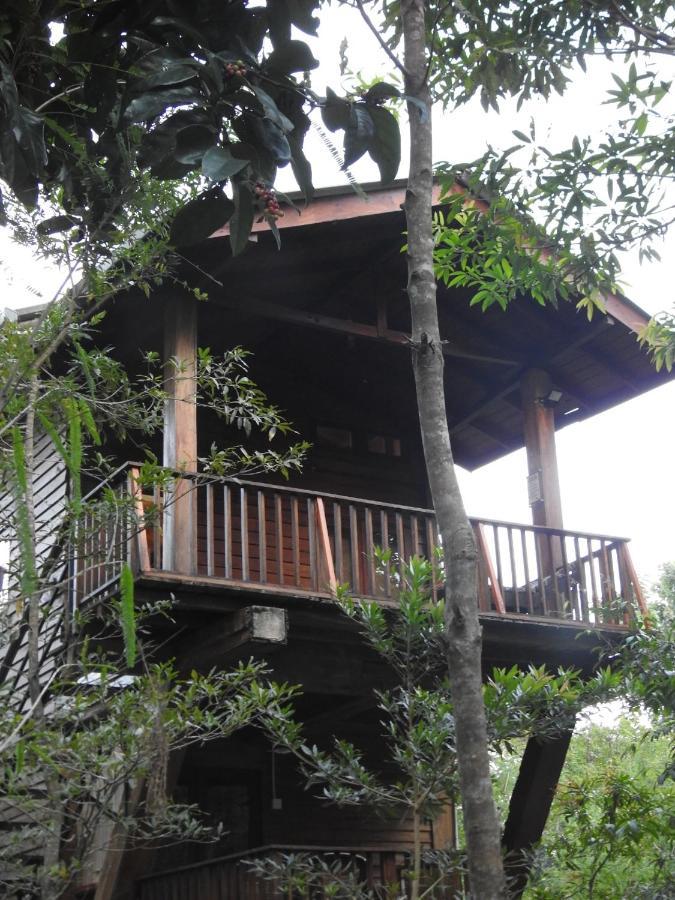 Bed and Breakfast Wilpattu Tree House Nochchiyagama Exteriér fotografie