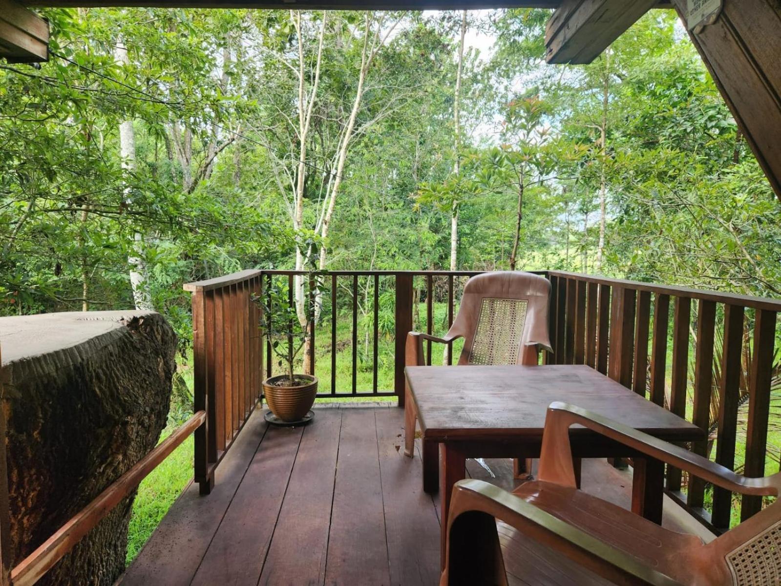 Bed and Breakfast Wilpattu Tree House Nochchiyagama Exteriér fotografie