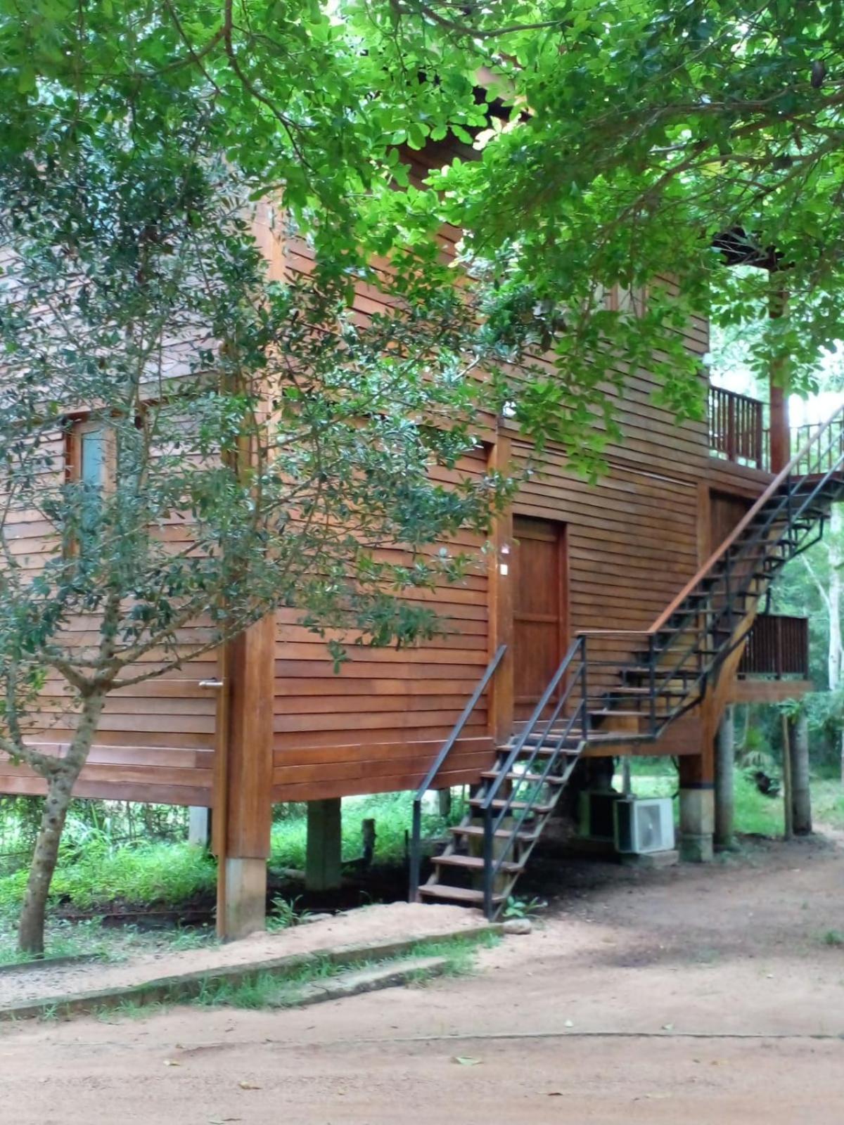 Bed and Breakfast Wilpattu Tree House Nochchiyagama Exteriér fotografie