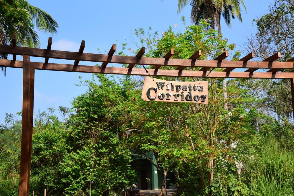 Bed and Breakfast Wilpattu Tree House Nochchiyagama Exteriér fotografie