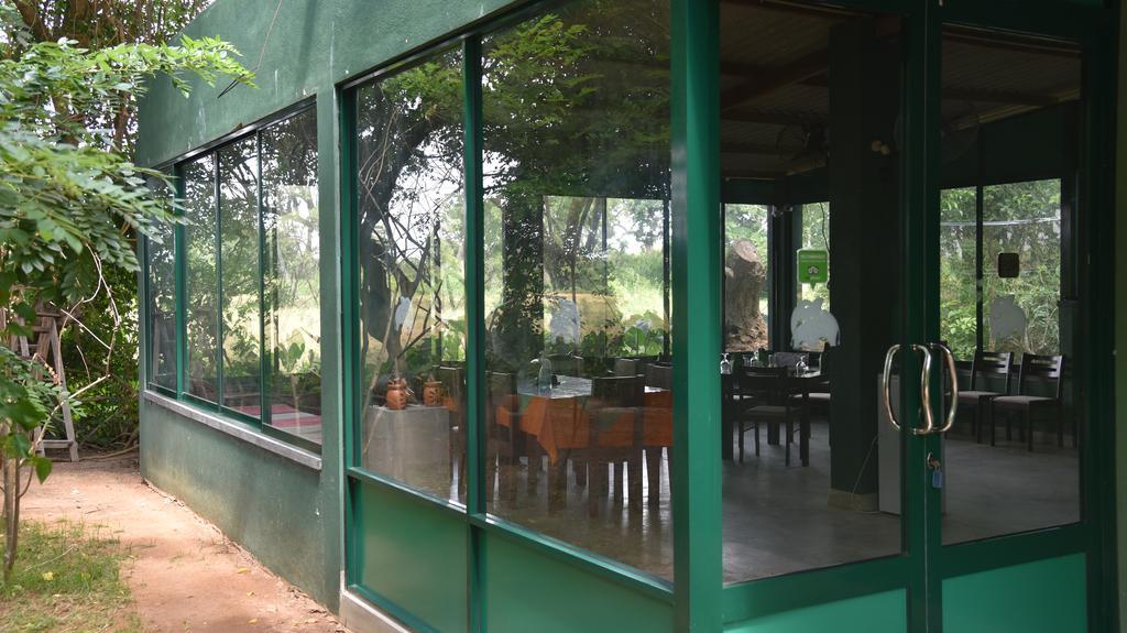 Bed and Breakfast Wilpattu Tree House Nochchiyagama Exteriér fotografie