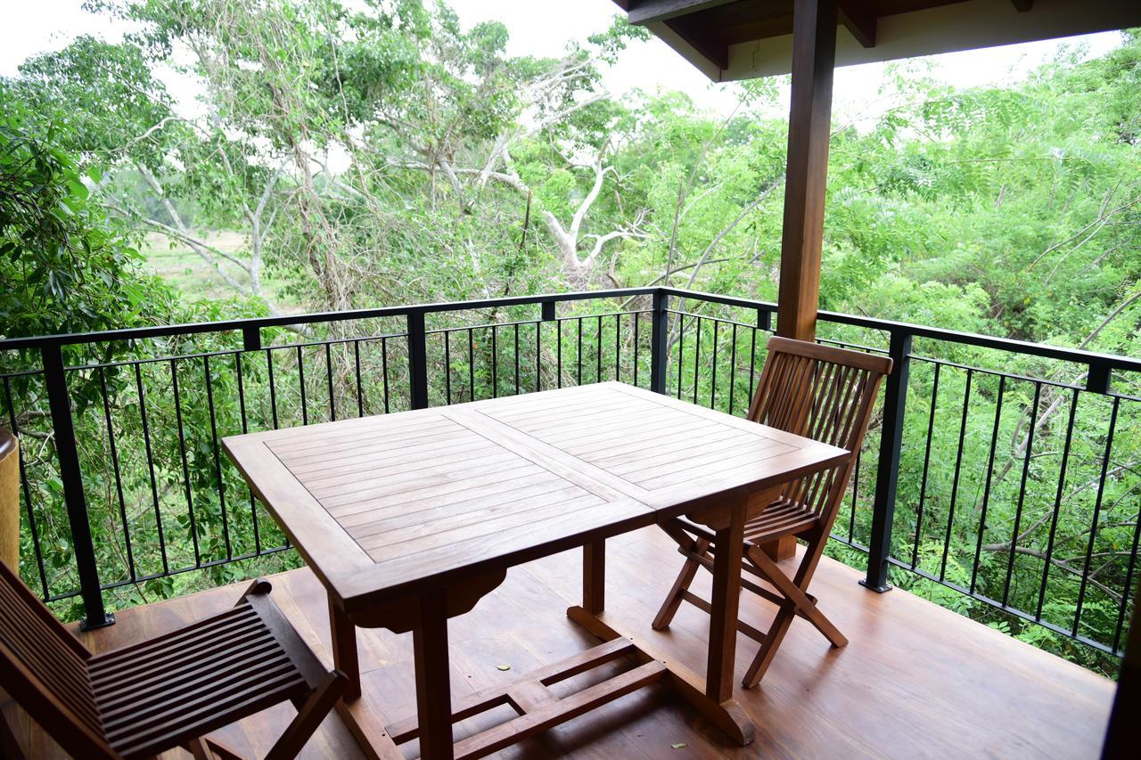 Bed and Breakfast Wilpattu Tree House Nochchiyagama Exteriér fotografie